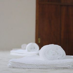 Habitación Triple Estándar